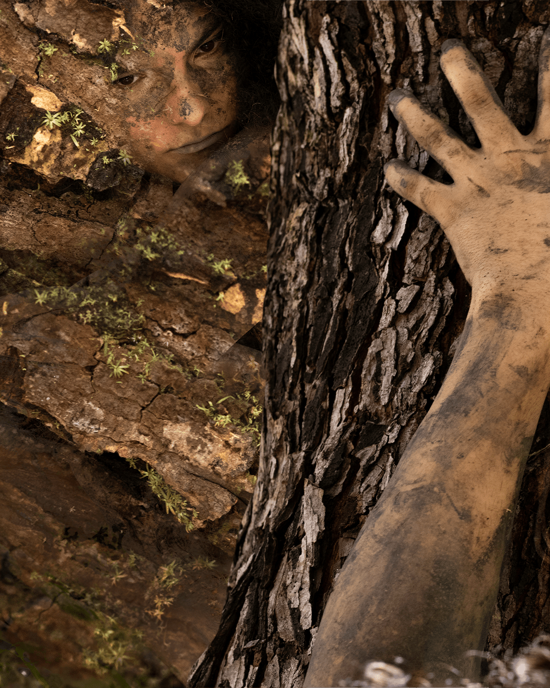 Escuta sensível das plantas