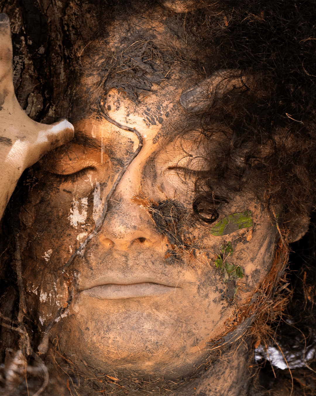 Escuta sensível das plantas