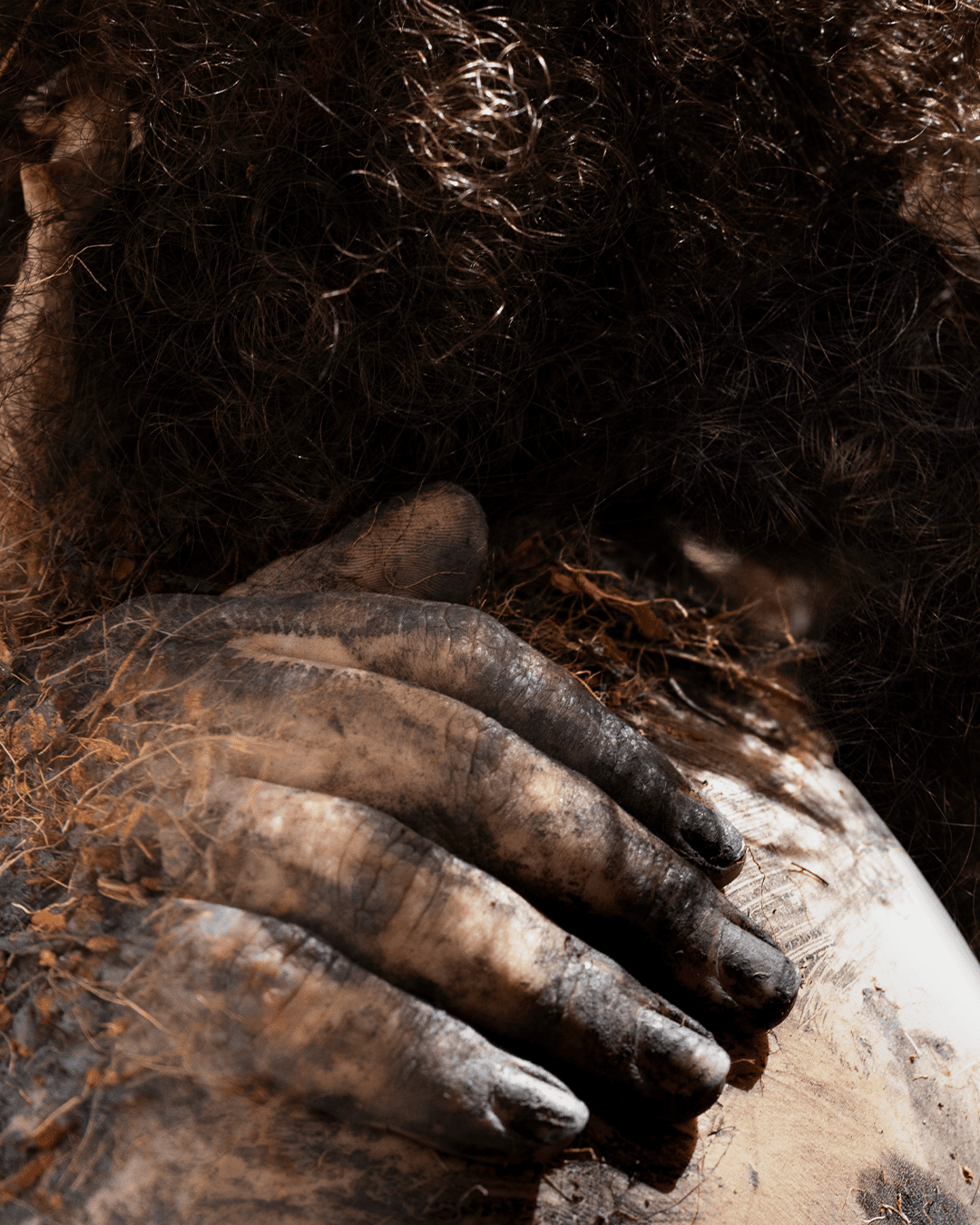 Escuta sensível das plantas