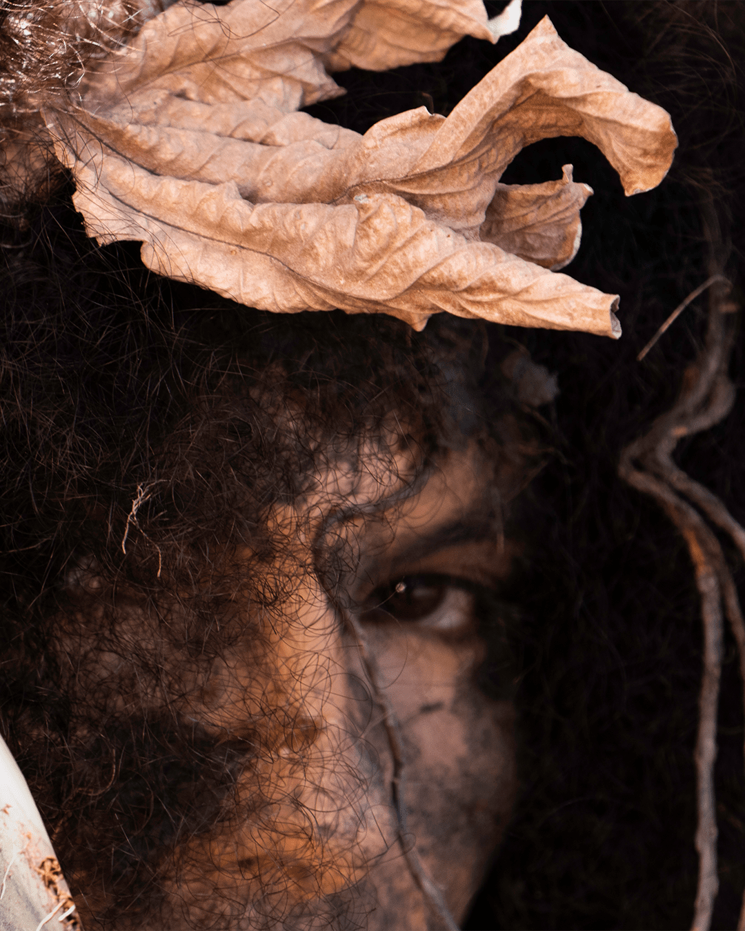 Escuta sensível das plantas